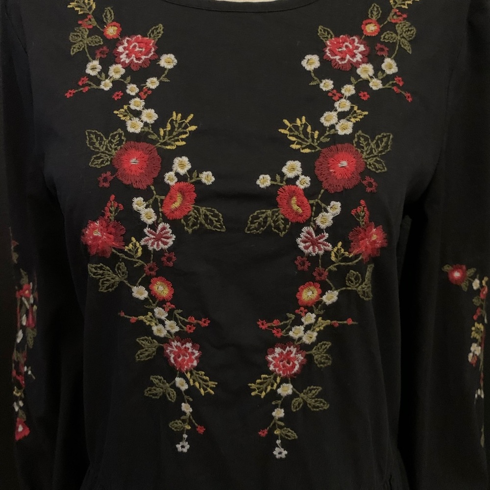 Miss Selfridge Embroidered Dress. View 4